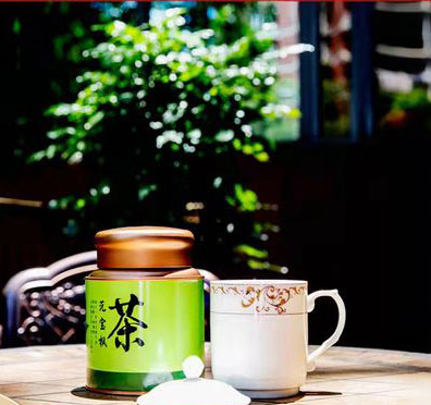 元宝枫茶——元宝枫的种植方法